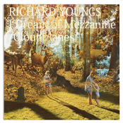 I Dream Of Mezzanine by Richard Youngs