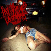 Album Promo