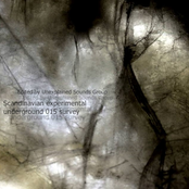 Scandinavian experimental underground 015 survey