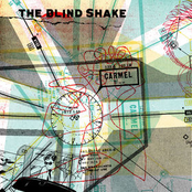 Fake Silhouette by The Blind Shake