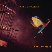 Livity In The Hood by Israel Vibration