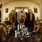 Wolf Tracks: The Best of Los Lobos