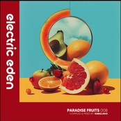 Paradise Fruits 008 (DJ Mix)