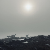 i shouldn't be here rn