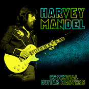Harvey Mandel: Essential Guitar Masters