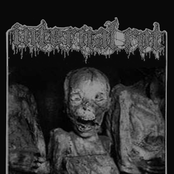 Head Collector by Internal Rot