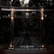 Embracing The Unknown (Remixes)