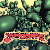 Speedbore
