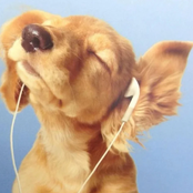 Made Sum Plans (girl)