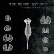 Prussian Blue Persuasion by The Nerve Institute
