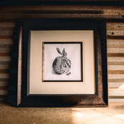 Post Traumatic Swag Disorder