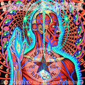 Palabras No Son Suficientes