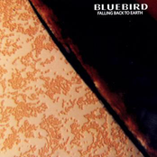 Bluebird: Falling Back to Earth