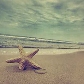 До последнего океана