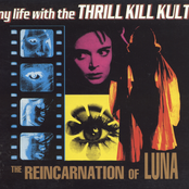 Temptation Serenade by My Life With The Thrill Kill Kult