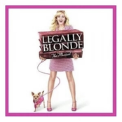 Legally Blonde: The Musical (Original Cast Recording)