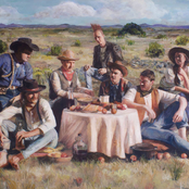 Wasted Shirt: Fungus II