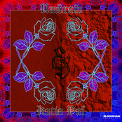 Road Trip To Qalisar