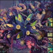 Christian Coiffure (Freefloat Remixes)