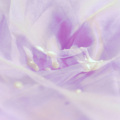 Fool for you (ft. Yoki Ng)