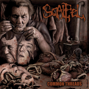 Common Threads