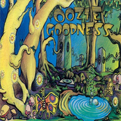 Oozie Goodness - The Eye Opening Elixir