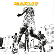 Blunted in the Bomb Shelter Mix