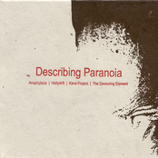 Describing Paranoia