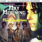 Hard Time by The Tremeloes