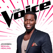 Sexual Healing (The Voice Performance) - Single