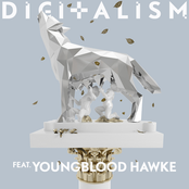 digitalism feat. youngblood hawke