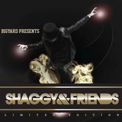 Good Times Roll by Shaggy