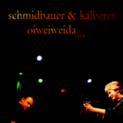 Oiweiweida (live)