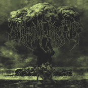 Fall Of The Last Idol