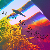 So...Why Are We Here?