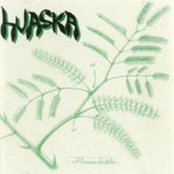 Para Nóia by Huaska