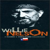 My Bucket's Got A Hole In It by Willie Nelson