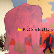 In The Backyard by The Rosebuds