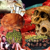 Charcuterie / Australopithecus