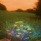 Golden (1-800 GIRLS Remix)