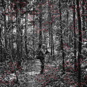 The Amazon—where the moon wept
