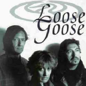 loose goose