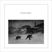 Distant Waves
