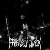 Is This What You Wanted