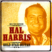 Gold Star Guitar
