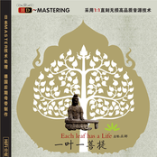 Each Leaf Has A Life