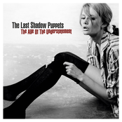 The Last Shadow Puppets: The Age of the Understatement