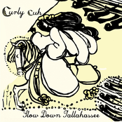 Curly Cuh by Slow Down Tallahassee