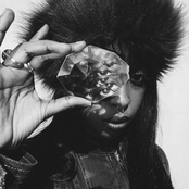 Schaap Wolf Herder in de Wind