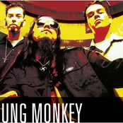 Sprung Monkey